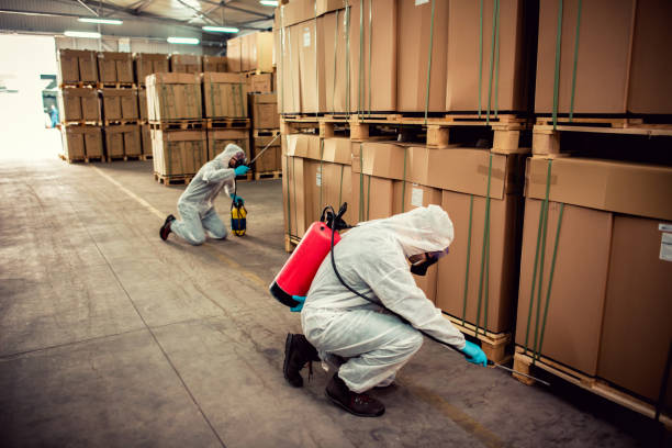 Best Best Pest Control Companies  in Maiden, NC