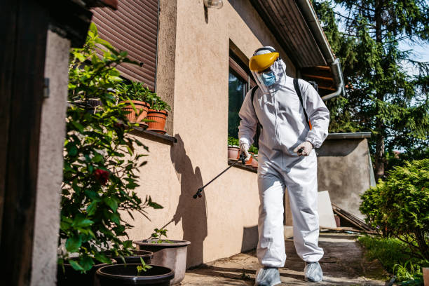 Flea Control Services in Maiden, NC